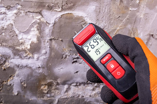 Best Mold Testing  in Cassopolis, MI