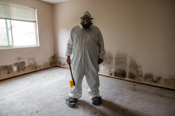 Best Commercial Mold Removal  in Cassopolis, MI